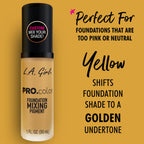 PRO.color Foundation Mixing Pigment
