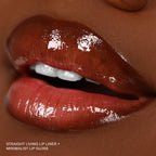 Gloss Up Sheer Finish Gloss