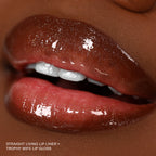 Gloss Up Sheer Finish Gloss